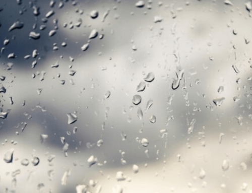 Rainy Weather Doesn’t Have to Ruin Cleanliness: Learn How to Stay Ahead