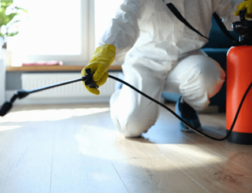 Preventing Pests & Promoting Hygiene: Essential Pest Control Services for Homes & Businesses