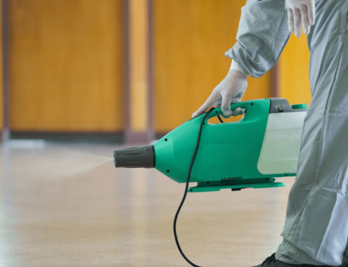 Load Shedding & Water Shortages: Essential Cleaning Services for South African Workplaces