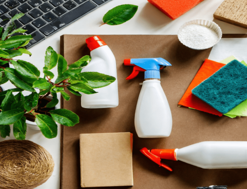 Leading the Way with Eco-Friendly Cleaning Solutions in South Africa